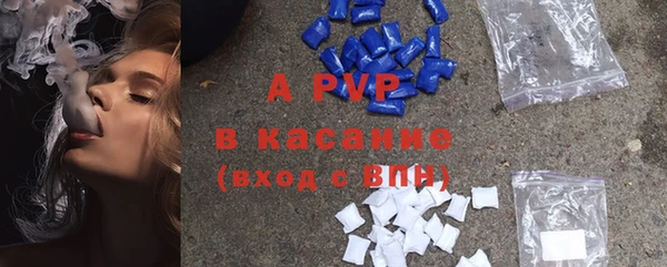 СК Алексин